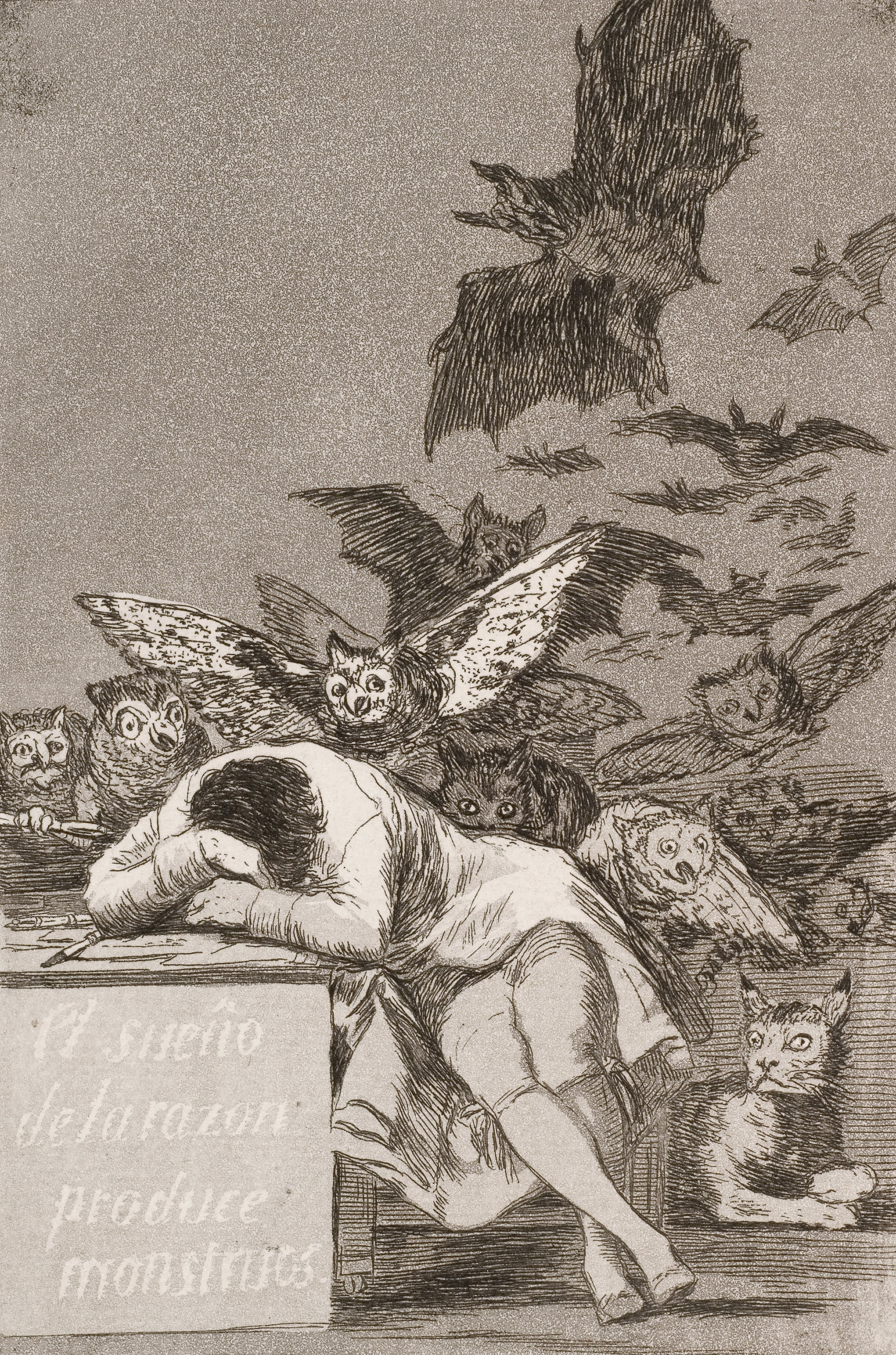Sleep of Reason Produces Monsters